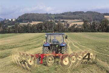 Sitrex QR8 Centre Delivery Hay Rake