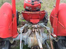 Massey Ferguson Tractor with slasher - picture2' - Click to enlarge