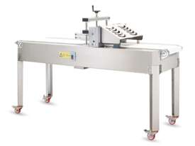 Horizontal Slicer Machine - picture0' - Click to enlarge