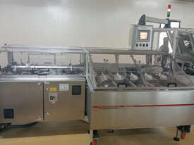 Complete Sachet Filling Line - picture1' - Click to enlarge