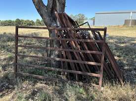 CATTLE YARD PANELS  - picture0' - Click to enlarge