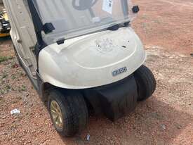 EZ-GO Elite Electric 2 Seat Golf Cart - picture1' - Click to enlarge