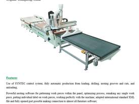 NANXING Auto Load and unload CNC Machine NCG2513L 2500*1250mm - picture0' - Click to enlarge
