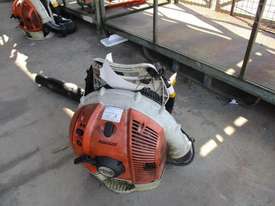 Stihl BR600 Magnum - picture1' - Click to enlarge