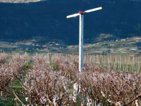 Orchard-Rite Wind Machine - picture1' - Click to enlarge