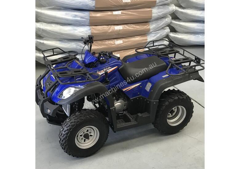 Jianshe 250cc deals farm quad