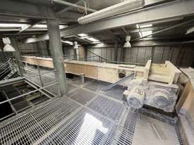 Transfer Chain Conveyor  - picture0' - Click to enlarge