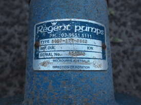 DOYLE PUMP & ENGINEERING - Regent Self Priming Centrifugal Pump  - picture1' - Click to enlarge