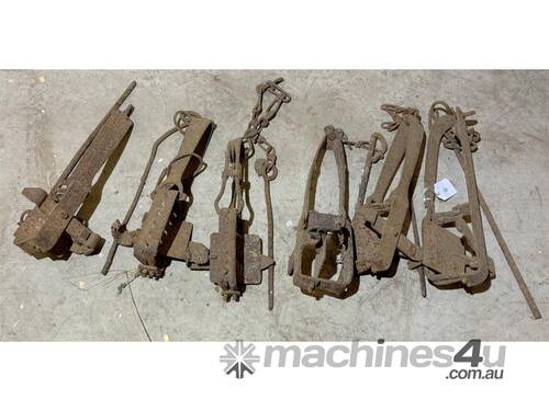 caption QTY OF RABBIT TRAPS
