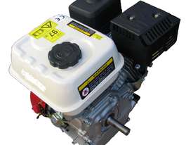 7 HP Petrol Engine Recoil Start - picture0' - Click to enlarge