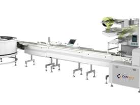 Flow Wrapper - High-Speed Automatic Packing System (Automatic Rotary Infeed) - picture0' - Click to enlarge
