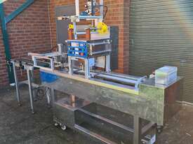 Fully Automatic Linear Tray & Bucket Sealing Machine - picture0' - Click to enlarge