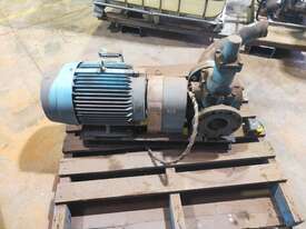 gear pump 3 phase  - picture2' - Click to enlarge