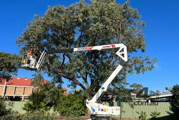 Monitor 2095 - 20m Spider Lift