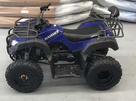 AG HAMMER 200CC QUAD - BOXED - picture0' - Click to enlarge