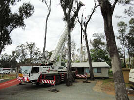 ALL TERRAIN CRANE HIRE - picture1' - Click to enlarge