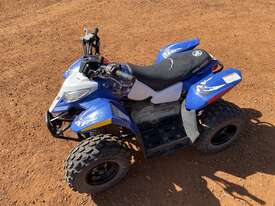 Polaris Kids Quad Bike - picture2' - Click to enlarge