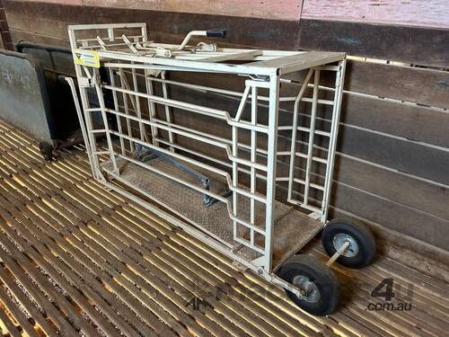 Thunderbird weigh crate