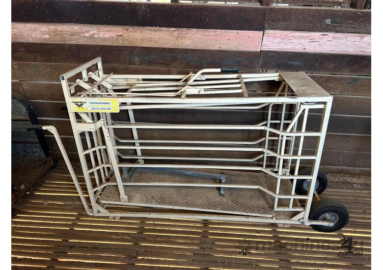 Thunderbird weigh crate