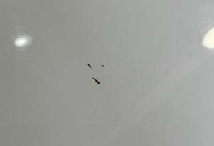 2021 Mitsubishi Express GLX (Diesel) (Auto) *Arndell Park*