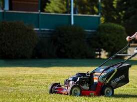 Kubota Walk Behind Mowers - picture0' - Click to enlarge