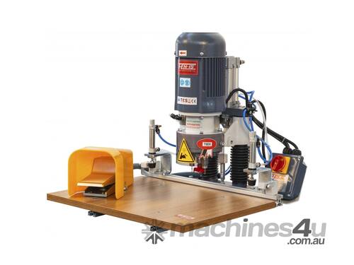 caption Benchtop Pneumatic Hinge Boring / Drilling Machine FN 950 Plus by Fen-Is