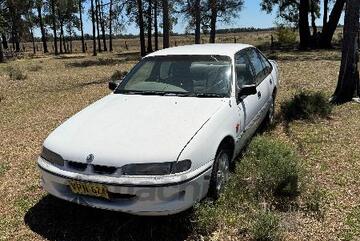 Holden COMMODORE CAR