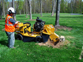 Stump Grinder 2018 Rayco RG35 - picture1' - Click to enlarge