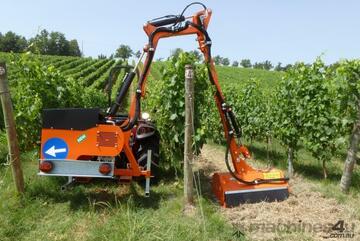 Rinieri   Bush cutters R-VIGNA