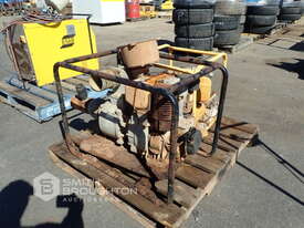 2 X DIESEL PUMPS - picture0' - Click to enlarge