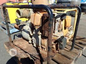 2 X DIESEL PUMPS - picture1' - Click to enlarge