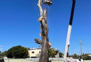 Monitor 2095 - 20m Hybrid Spider Lift | 250kg at 9.5m Reach | Radio Controlled | Auto Stow