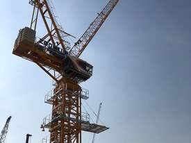 2025 Zoomlion L250-16 Luffing Crane  - picture1' - Click to enlarge