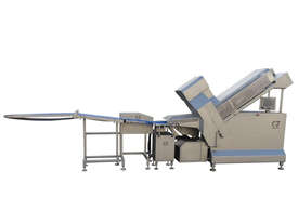 CASTELLVALL FILET-620 INDUSTRIAL SLICER - picture0' - Click to enlarge