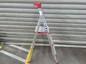 Bailey Platform Step Ladder - picture1' - Click to enlarge