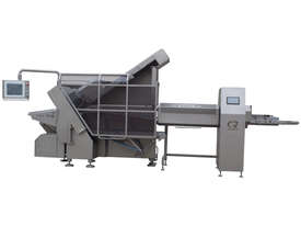 CASTELLVALL FILET-650 INDUSTRIAL SLICER - picture0' - Click to enlarge