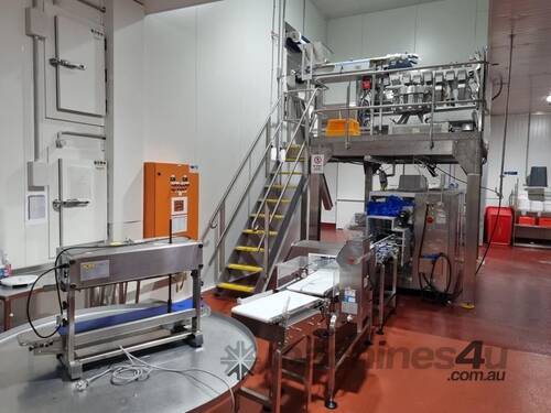 ADM Pouch Packing Line - Multihead Weigher - Horizontal Pouch Packaging Machine - Metal Detector