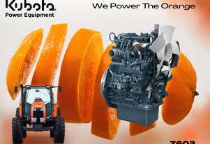 Kubota Z602   REPOWER ENGINE