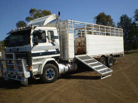 Scania R113H Stock/Cattle crate Truck - picture2' - Click to enlarge