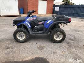 2004 Polaris 330 ATP - picture1' - Click to enlarge