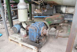 Rotary blower and motor