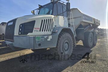 Terex 2020   TA300