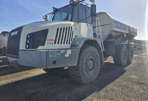 Terex 2020   TA300