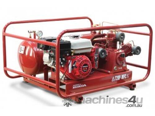 caption Airmac T20P MFC 6.5 HP with Electric Start