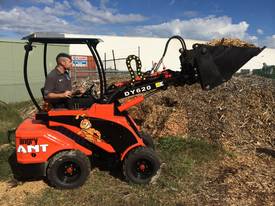 2019 Angry Ant DY620 Mini Loader - picture0' - Click to enlarge