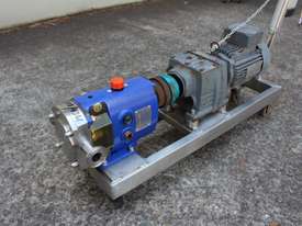 Stainless Steel Lobe Pump - picture1' - Click to enlarge