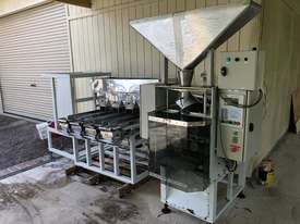 Bagging machine + 4-lane weigher - picture0' - Click to enlarge