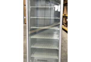 Fed-X Stainless Steel Upright Static Display Freezer XF600SG