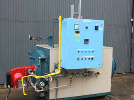  HUNT TN-AR-407 407kW natural gas hot water tube boiler heater SAACKE BURNER - picture0' - Click to enlarge