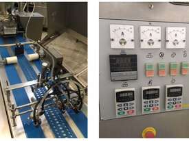 Automatic Spring Roll Line - picture0' - Click to enlarge